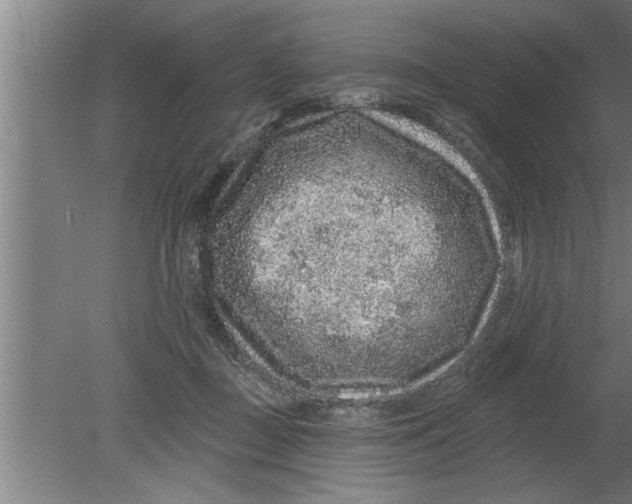 X0000080100363200612301924