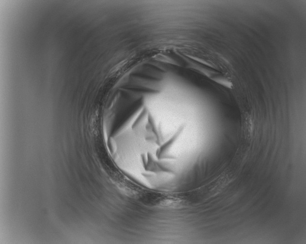 X0000080100364200612301924