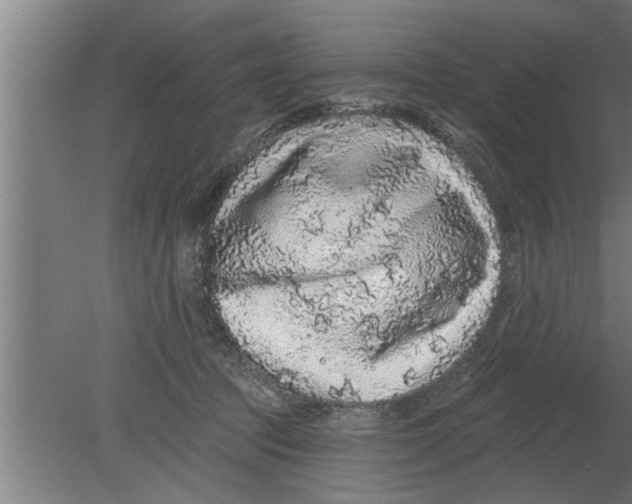 X0000080100369200612301924