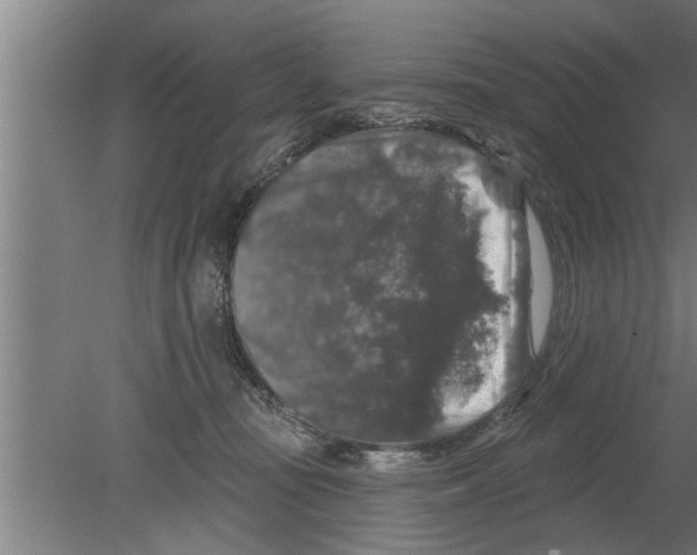 X0000080100371200612301924