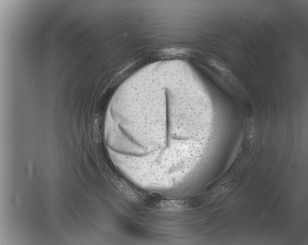 X0000080100378200612301924