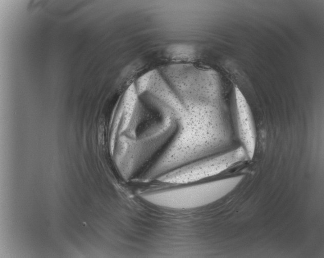 X0000080100379200612301924