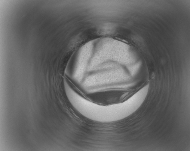 X0000080100380200612301924