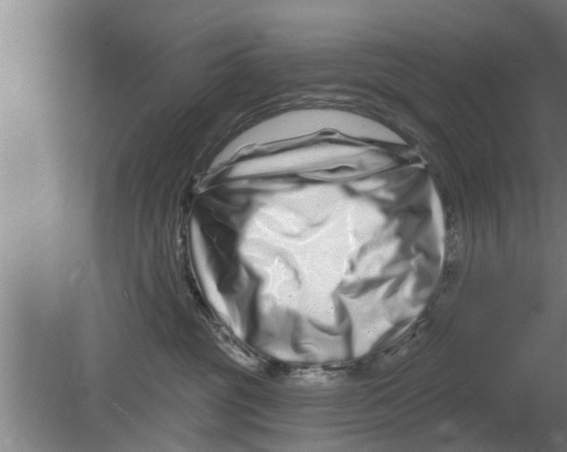 X0000080100381200612301924