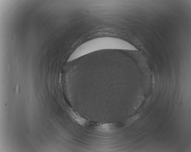 X0000080100382200612301924