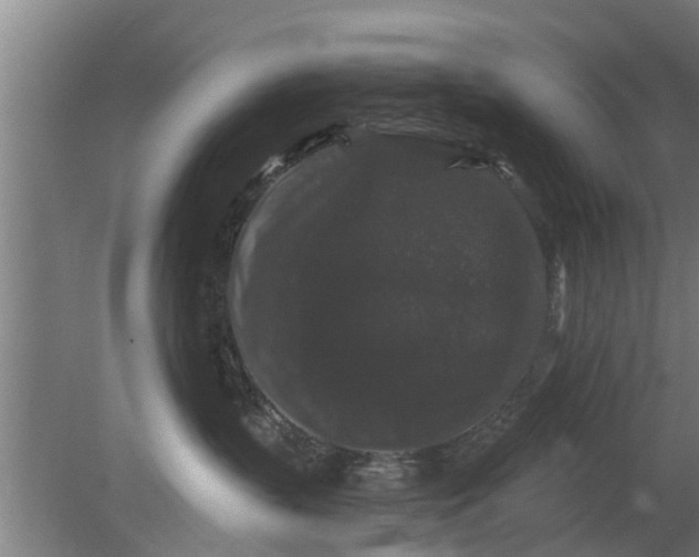 X0000080100383200612301924