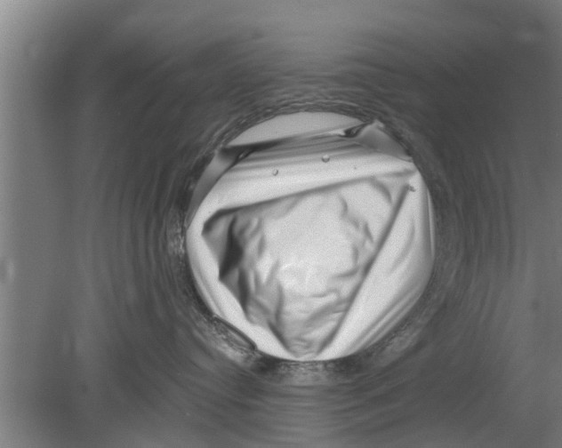 X0000080100384200612301924