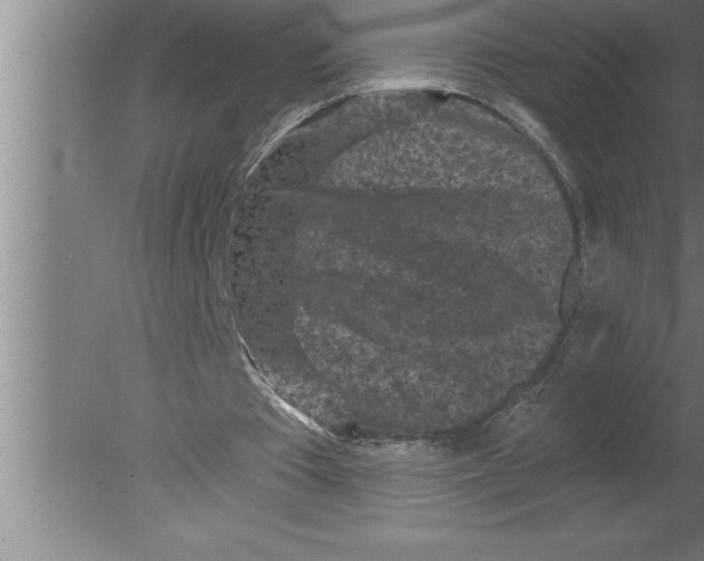 X0000080100385200612301923