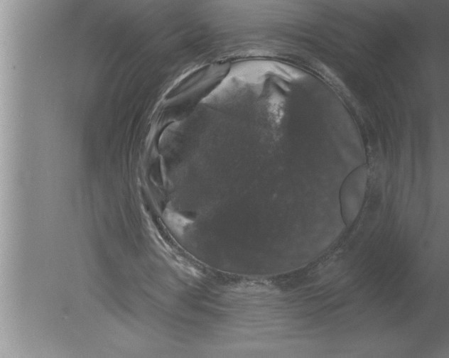 X0000080100386200612301923