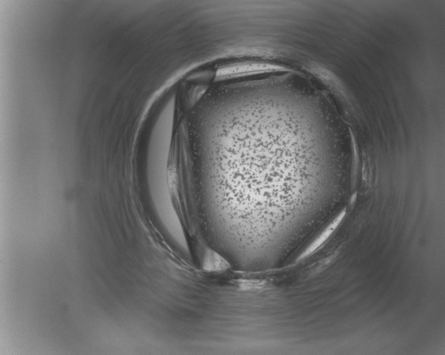 X0000080100388200612301923