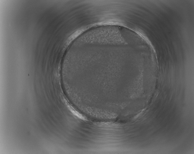 X0000080100389200612301923