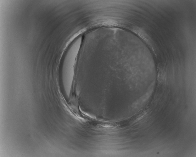 X0000080100390200612301923