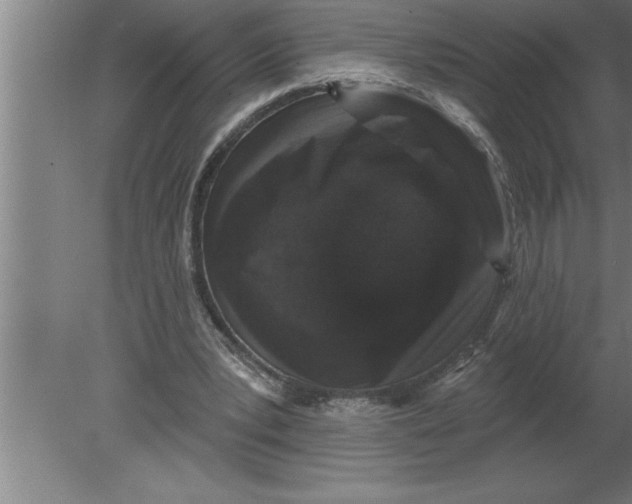 X0000080100391200612301923