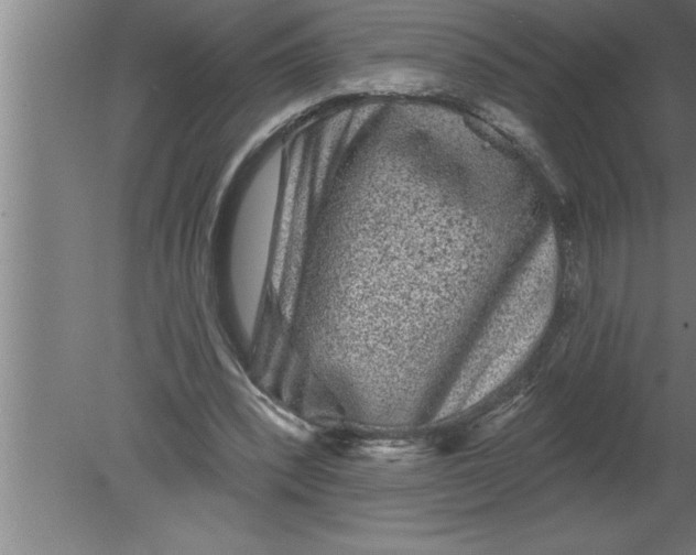 X0000080100392200612301923