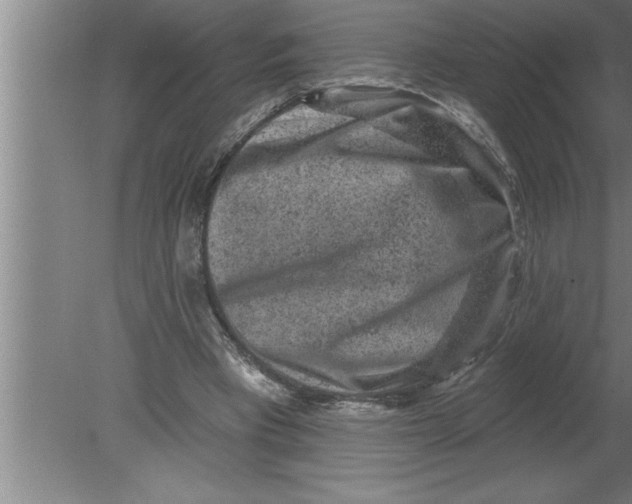 X0000080100393200612301923