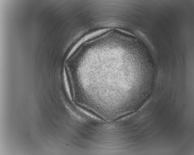 X0000080100394200612301923