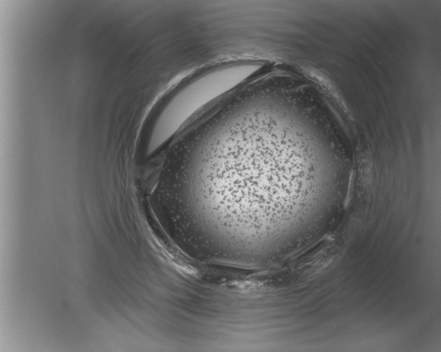 X0000080100395200612301923