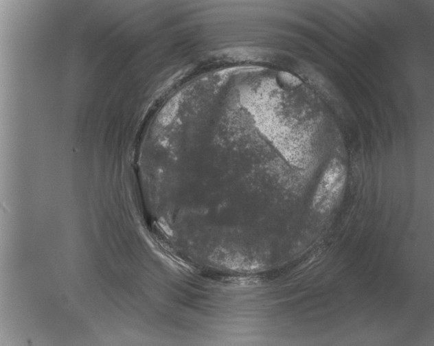 X0000080100398200612301923