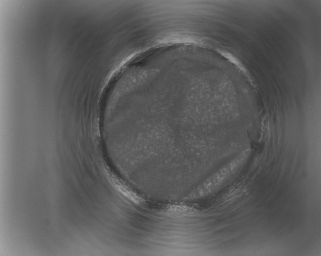 X0000080100399200612301923