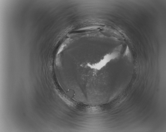 X0000080100402200612301923