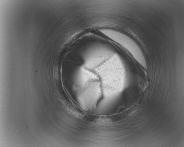 X0000080100403200612301923