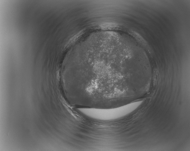 X0000080100405200612301923