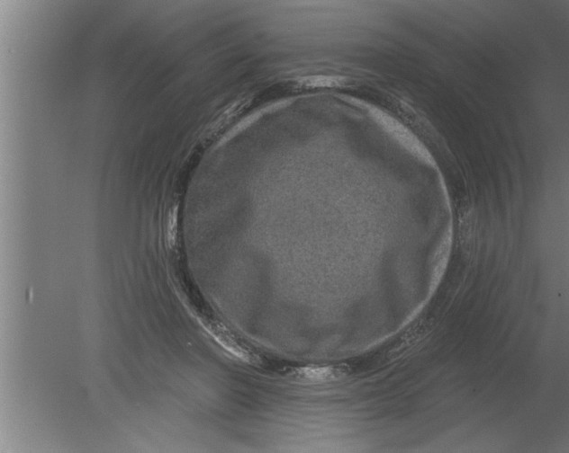 X0000080100406200612301923