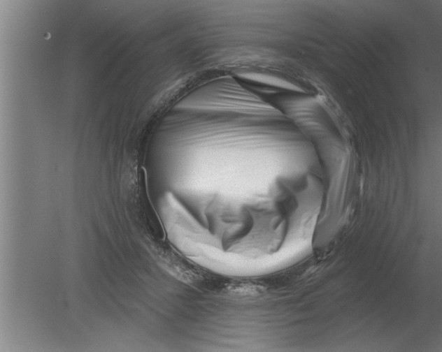 X0000080100407200612301923