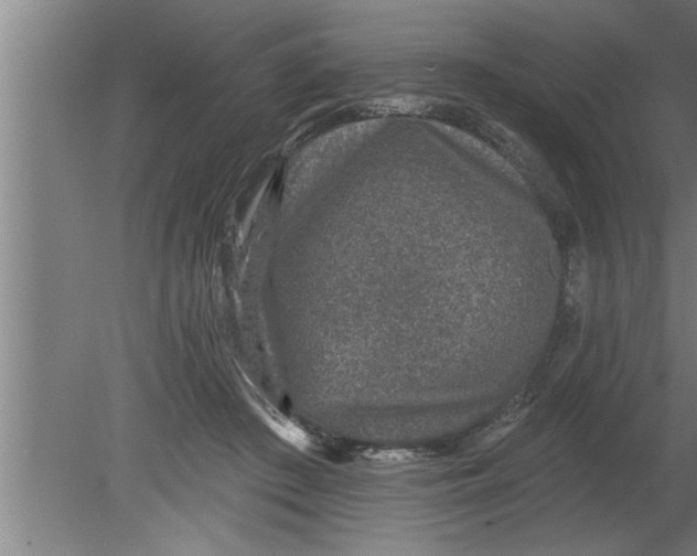 X0000080100409200612301923