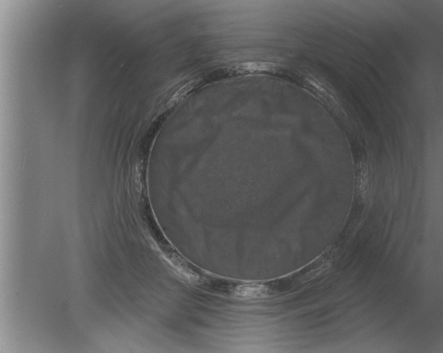 X0000080100410200612301923