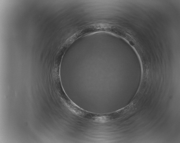 X0000080100411200612301923