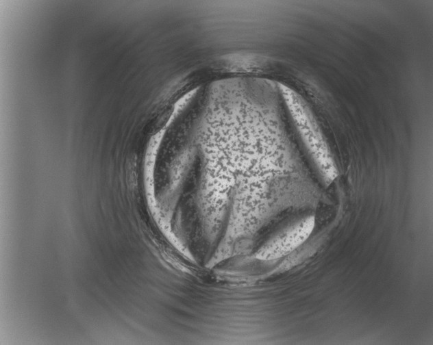 X0000080100413200612301923