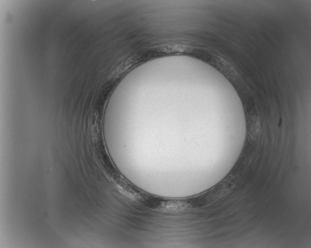 X0000080100414200612301923