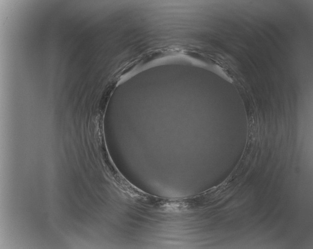 X0000080100415200612301923