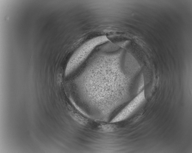 X0000080100417200612301923