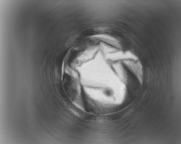 X0000080100420200612301923