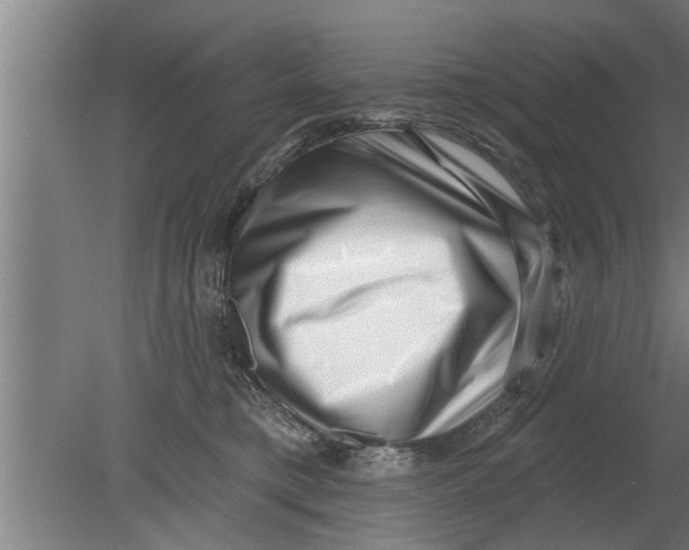 X0000080100421200612301923