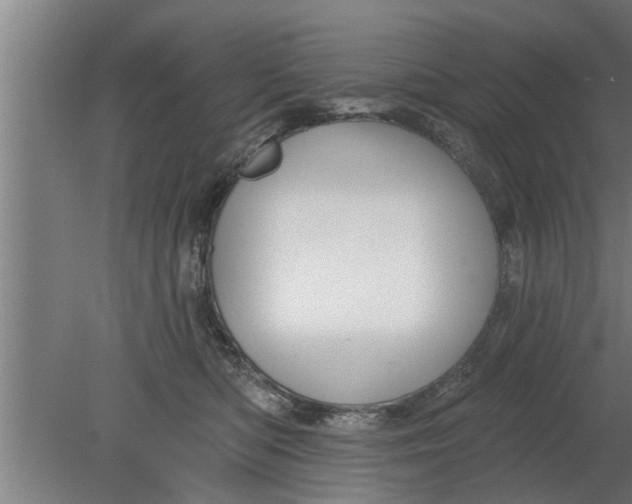 X0000080100422200612301923