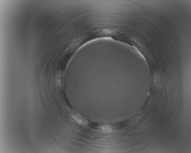 X0000080100423200612301923