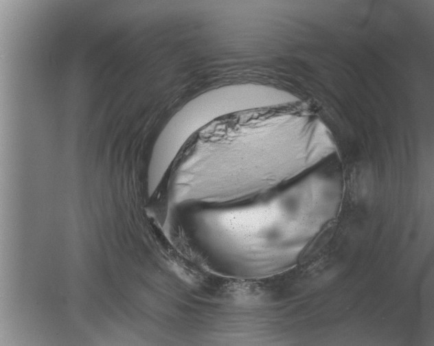 X0000080100424200612301923