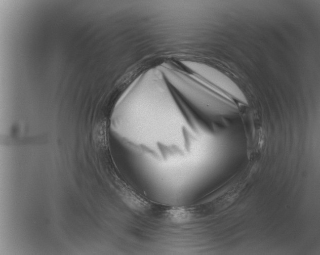 X0000080100425200612301923