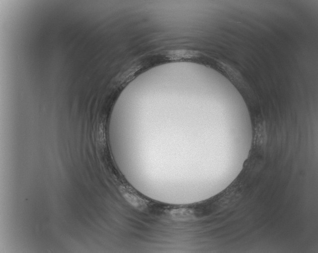 X0000080100426200612301923