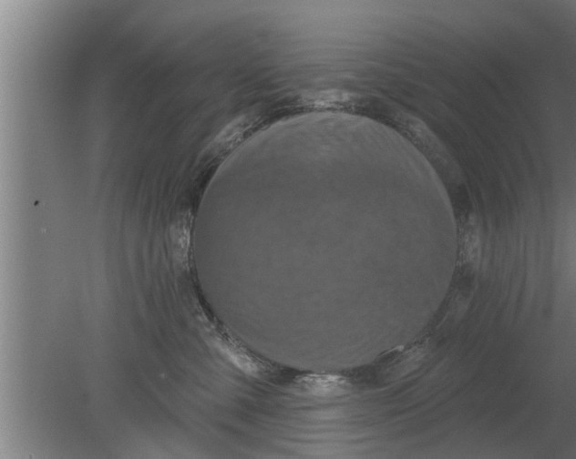 X0000080100427200612301923