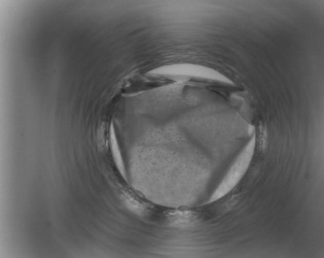 X0000080100428200612301923