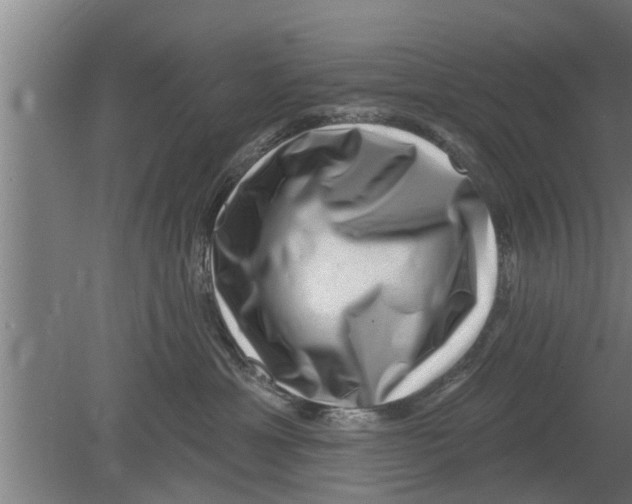 X0000080100429200612301923