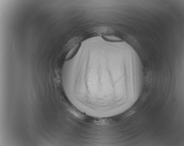 X0000080100430200612301923