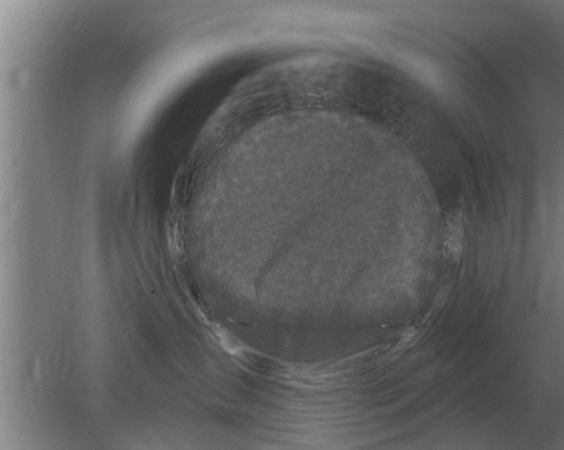 X0000080100431200612301923