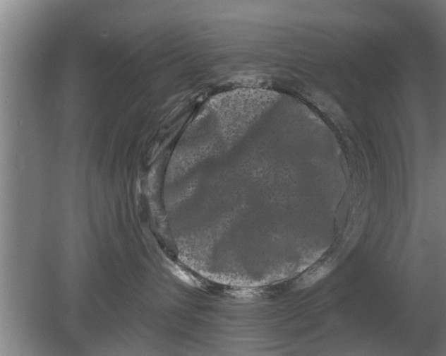 X0000080100432200612301923