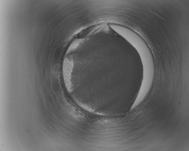 X0000080100434200612301922