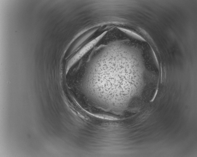 X0000080100435200612301922